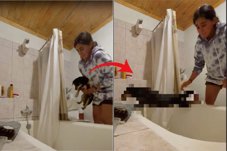 愛犬の入浴タイム。ところがこの子は「絶対にお風呂に入りたくないワン！」という強い意志を行動で示してきました【海外・動画】