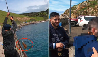 立派なイカを釣り上げた男性。イカも一矢報いるために最後のひとあがきをするのですが・・、その被害にあったのは釣り人ではありませんでした!