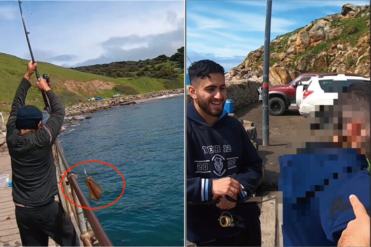立派なイカを釣り上げた男性。イカも一矢報いるために最後のひとあがきをするのですが・・、その被害にあったのは釣り人ではありませんでした！