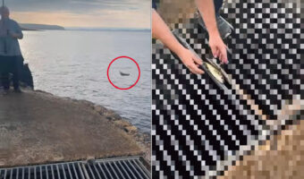 魚をせっかく釣り上げたと思ったのに！思わぬ形でキャッチ・アンド・リリースをすることに・・【海外・動画】