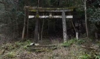 神隠しに遭いそうな廃神社が話題に!鳥居を通り抜けると、まるで異世界にでも迷い込んだような光景が待っていた・・・