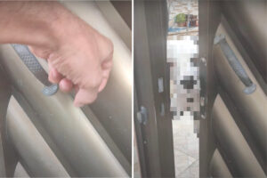 「開けてください」とドアをコンコンと叩いたら・・。ガチャッと開けてくれた家族の姿にビックリ！！【海外・動画】