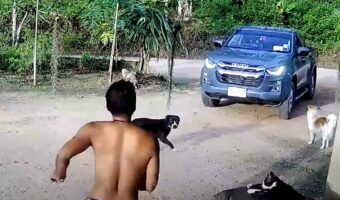 駐車した車が少しずつ後方へ動き出した！？サイドブレーキをかけ忘れたドライバーが慌てて駆けつけますが・・【海外・動画】