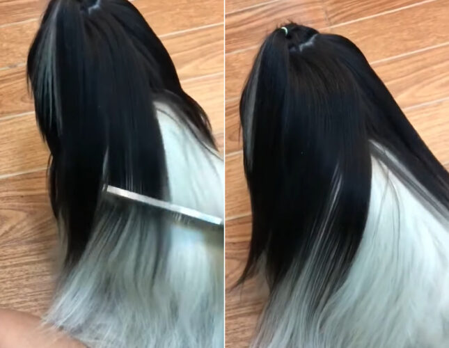 インナーカラーにしては、ホワイトの割合が多いと思ったら・・。とぅるんとぅるんのその髪を櫛でといてもらっているこの子の正体にビックリ！！