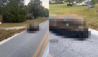 ハロウィンの季節だから?道路を走っていたら向かいから迫って来たものにビックリ!もしかしたらドラキュラがドライブしていたのかもしれません