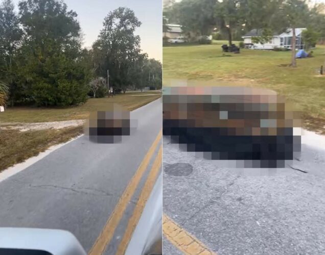 ハロウィンの季節だから？道路を走っていたら向かいから迫って来たものにビックリ！もしかしたらドラキュラがドライブしていたのかもしれません