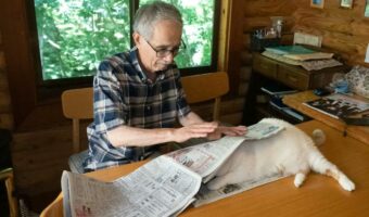 まるでジブリのワンシーンのようなお父様と愛猫の関係が素敵!新聞を読むのを邪魔されていたので、新聞で包んでみると