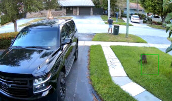 道端に佇む男性。その後ろから突進してくる影が・・!その正体にビックリ!!【アメリカ・動画】