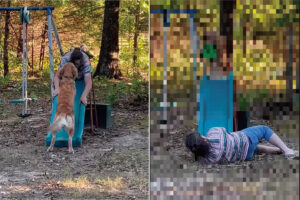 愛犬に教え込んだすべり台遊び。なんとか披露して欲しいママさんがなぜかすべり台を滑っていました！【アメリカ・動画】