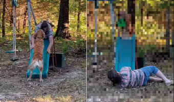 愛犬に教え込んだすべり台遊び。なんとか披露して欲しいママさんがなぜかすべり台を滑っていました!【アメリカ・動画】