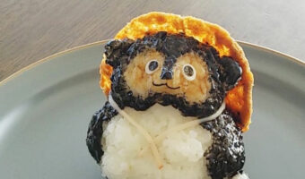信楽焼のタヌキじゃん！実はこれ”おにぎり”で作られた信楽焼タヌキなのです！