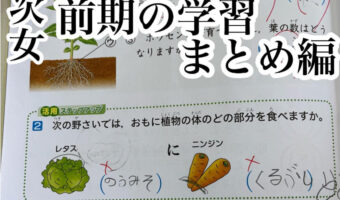 ギャグセン抜群!子どもの学習珍回答まとめが面白すぎた