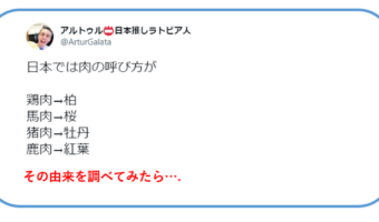 日本人より日本語の由来に詳しいラトビア人のアルトゥルさんの投稿に感心する人多数!!