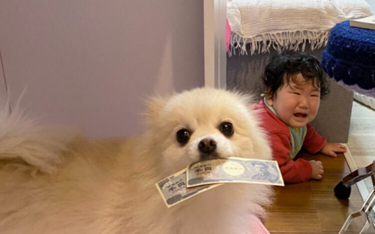 「なんかの風刺画みたいなの撮れた」という投稿が話題で大喜利状態！あなたはどんな意味が込められた風刺画に見える？