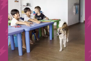 路上で弱っていた野良の子犬。教師のママさんに引き取られたこの子は、今やすっかり学校の人気者です！【海外・動画】