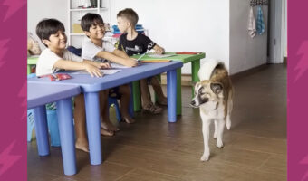 路上で弱っていた野良の子犬。教師のママさんに引き取られたこの子は、今やすっかり学校の人気者です!【海外・動画】