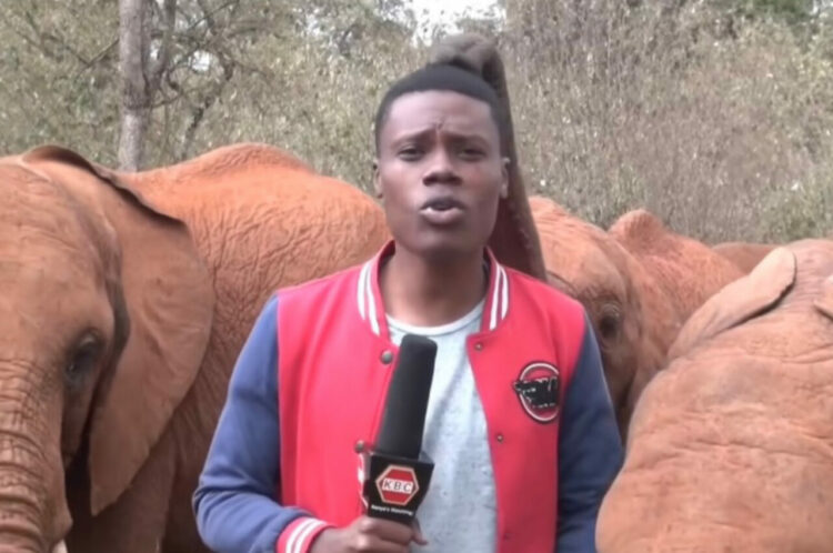 真剣なレポーターを邪魔する子ゾウ。必死に笑いを堪えるレポーターでしたが顔を掴まれるイタズラにとうとうギブアップ！