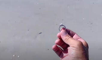 金属探知機で宝さがしをする動画を投稿しているTikTokerが$40000相当の指輪を発見し話題に！更に彼はその指輪の持ち主を探しました。