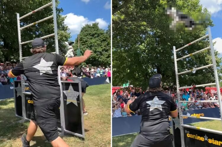 ドッグショーで披露された驚異的な大ジャンプ！豪快かつ美しいその跳躍に、観客たちは拍手喝采！大歓声！！【アメリカ・動画】