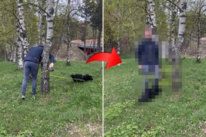 木に絡まりかけたリードを握り直そうとしたら・・。元気いっぱいに駆け回る愛犬に動きを封じられてしまいました！【海外・動画】