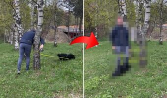 木に絡まりかけたリードを握り直そうとしたら・・。元気いっぱいに駆け回る愛犬に動きを封じられてしまいました!【海外・動画】