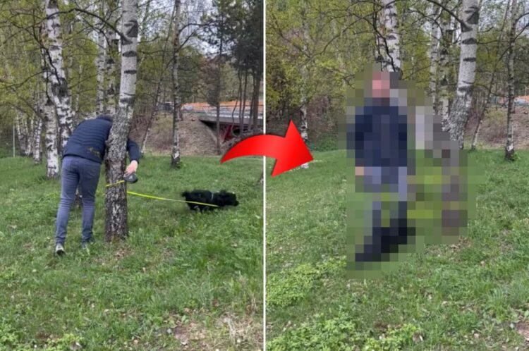 木に絡まりかけたリードを握り直そうとしたら・・。元気いっぱいに駆け回る愛犬に動きを封じられてしまいました！【海外・動画】