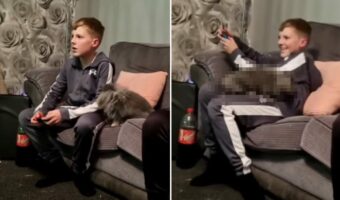 ウサギはゲーム中の男の子にかまってほしい!!あの手この手を使って気を引こうとする姿に、男の子もついに根負け?!【海外・動画】
