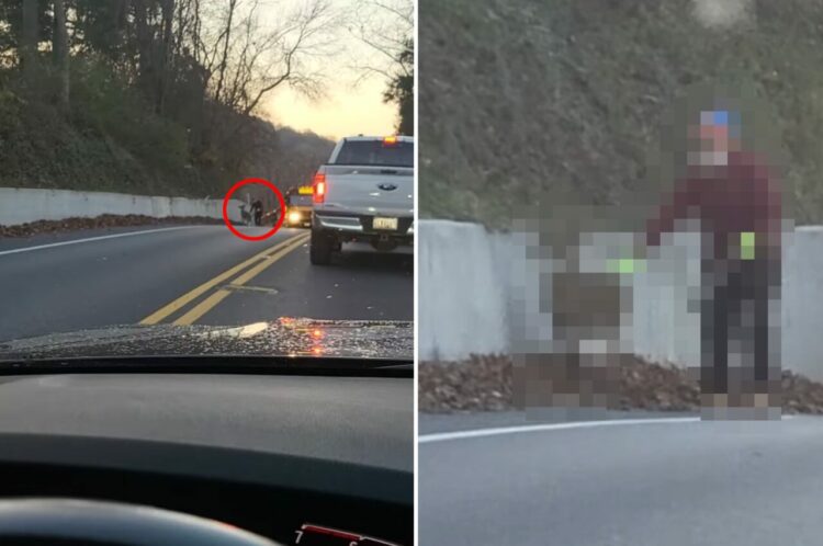 道路の端で鹿を誘導するヒゲをたくわえた男性。その光景は、サンタさんがクリスマスにソリを曳いてくれる子の勧誘をしているようでした！！