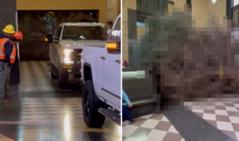 美術館の中に入ってきた車。なにかを曳いていると思ったら・・、それはクリスマスに欠かせない『アレ』でした！！【アメリカ・動画】