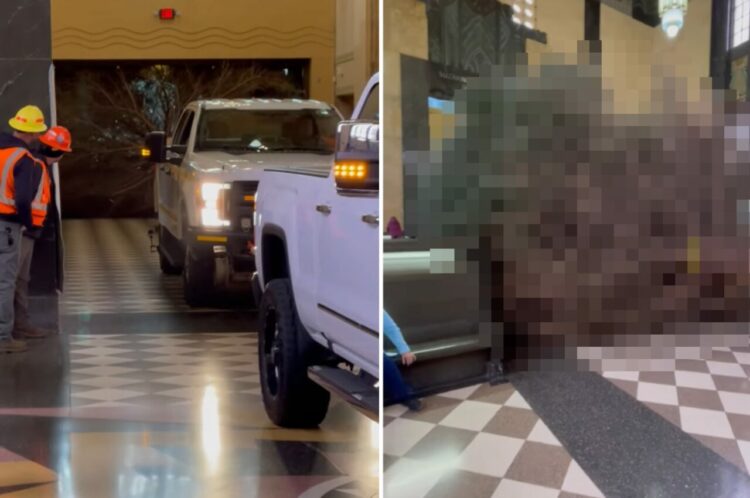 美術館の中に入ってきた車。なにかを曳いていると思ったら・・、それはクリスマスに欠かせない『アレ』でした！！【アメリカ・動画】