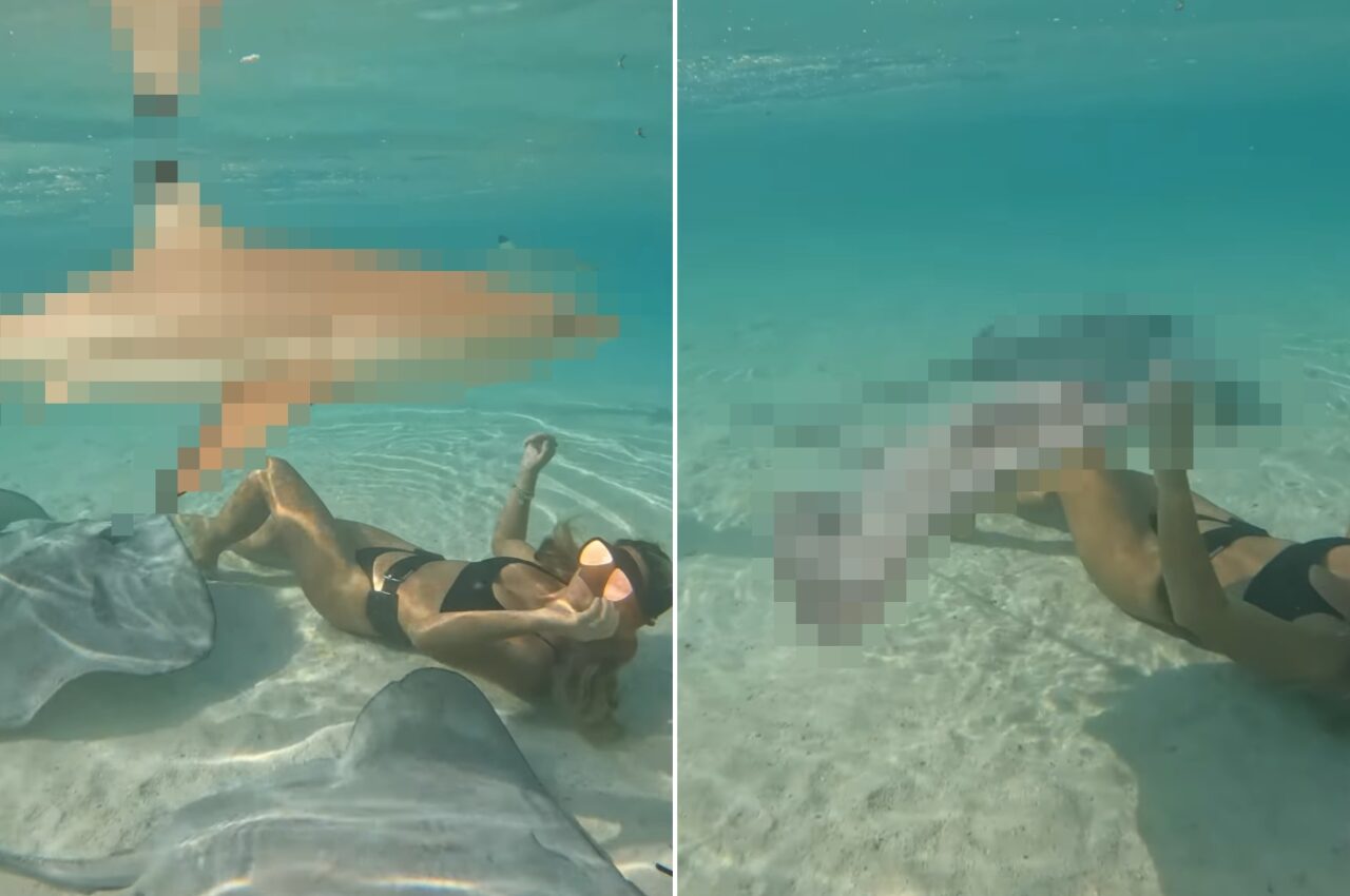 透明度が非常に高いモーレア島の浅瀬の海に潜る女性。その周りを取り囲むように泳いでいるのは、あの危険な海洋生物たち?!【海外・動画】