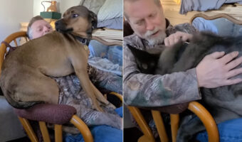 パパさんに甘えたい愛犬たち。ロッキングチェアに座るパパさんのそばにいるのは自分だ!と場所の奪い合いが勃発!!【アメリカ・動画】