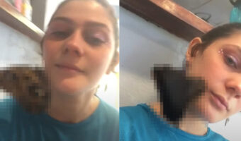 仕事中にビックリ！！事務所にやって来たある『お客さん』が・・女性の顔にとまってしまいました！！いったい何がやって来た？？