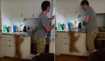 「ごはんだ！うれしいなあ！！」夕飯の時間になったのがうれしくて仕方がない愛犬。喜びが全身からあふれています！！【海外・動画】