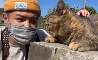 ご挨拶してくれる可愛い猫が話題に！「スリスリ頭突きがたまらない」「からだ全体を使った嬉しい挨拶ですね」