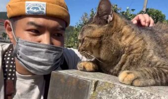 ご挨拶してくれる可愛い猫が話題に！「スリスリ頭突きがたまらない」「からだ全体を使った嬉しい挨拶ですね」