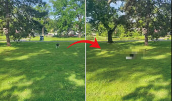 元気に走り回るハスキー犬にまさかのハプニングが!!ところが、ハスキー犬はなんにもなかったかのように走り抜けていきました【アメリカ・動画】