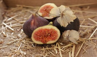 「イチジク」の旬は年2回!旬の違いは他にも違いがあるの?