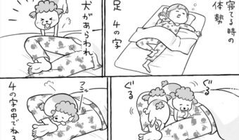 「犬と猫どっちも飼ってると、きつい体勢もなんだか楽しかったり」犬と猫の特徴をわかりやすく表現した漫画に共感の声