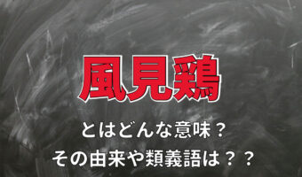 「風見鶏」とはどんな意味?その由来や類義語を解説!!