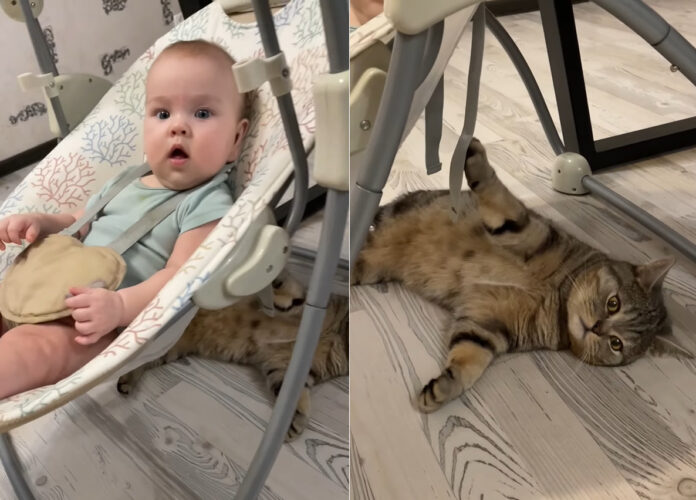 ゆらゆらと揺れる赤ちゃんの乗るゆりかご。赤ちゃんもゴキゲンになっていますが・・、揺らしていたのはなんとゴロンと寝転がっている猫です！！