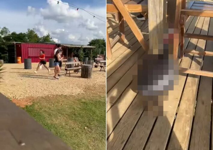 山間の絶景レストランで『なにか』から逃げ惑う女性。周囲の人達は笑っているので危険性は低いようですが・・、女性を追うその生き物とは！？