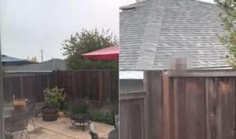 なにか視線を感じる・・。カメラをズームしていくと・・、そこにいたのはなんと！！【アメリカ・動画】