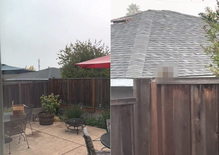 なにか視線を感じる・・。カメラをズームしていくと・・、そこにいたのはなんと！！【アメリカ・動画】