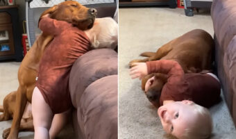 ふたりの甘いひととき。男の子は愛犬のことをギュッとハグして離しませんし、愛犬も離れるつもりはないみたい!【アメリカ・動画】