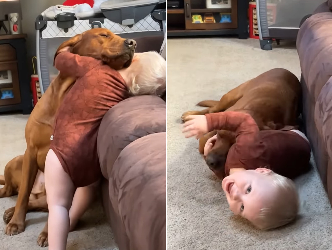 ふたりの甘いひととき。男の子は愛犬のことをギュッとハグして離しませんし、愛犬も離れるつもりはないみたい!【アメリカ・動画】