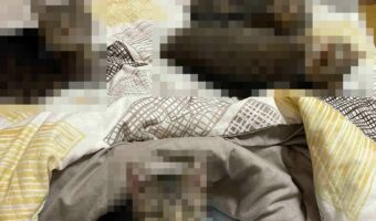 「飼い主の寝る場所がなくなる季節がやってきた」飼い主さんの布団を占拠するキジトラ軍団が可愛すぎる!!