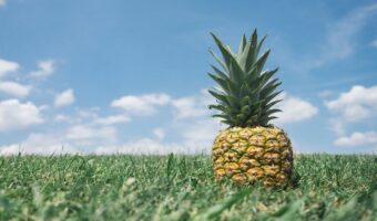 「パイナップル」の食べ頃はいつ？買ったらすぐ食べたほうがいいの？選ぶポイントは？