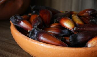 「ピニョン」とはどんな食材?私達もよく知る『ある植物』から取れるんです!