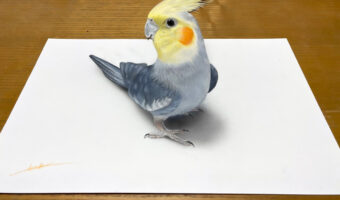 本物じゃないの?今にも動き出しそうな絵がTwitterで話題に!